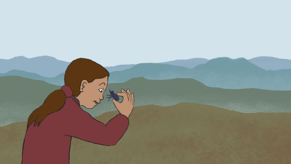 "Am Anfang war ein Hugi" Naturmuseum Animation Illustration Trickfilm Schweiz
