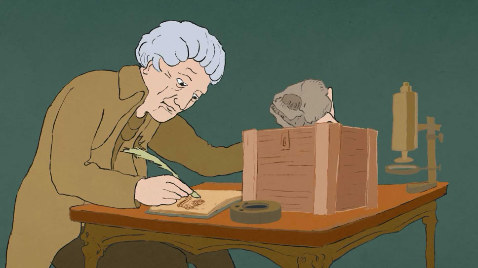 Georges Cuvier in Paris, Begründer der Paläontologie, Naturforscher; Schildkröten Schäder, Versteinerung, Franz Josef Hugi, "Am Anfang war ein Hugi" Naturmuseum Animation Illustration Trickfilm Schweiz 2D Zeichentrick 