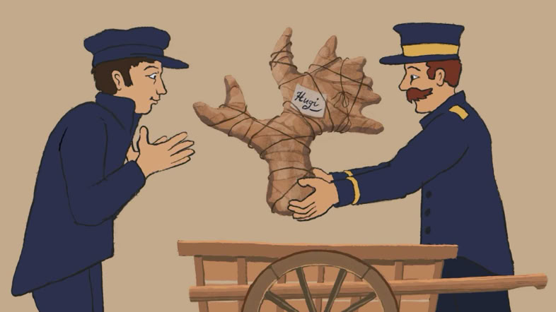 Die 200 jährige Museumsgeschichte wird mit einer einfach animierten Bildergeschichte nachgezeichnet. Die Museumsgeschichte erstreckt sich über drei Etappen. Die Illustrationen spiegeln die Zeit, in welcher wir uns befinden. Der Film soll von Schulkindern verstanden werden, kleinere Kinder entdecken heitere Details. TVPaint